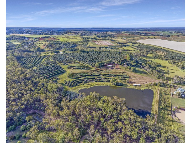 40 AVOCADO DRIVE & 236 BUTCHERS ROAD, South Isis QLD 4660