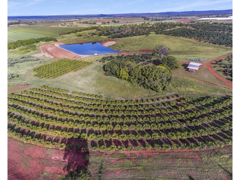 40 AVOCADO DRIVE & 236 BUTCHERS ROAD, South Isis QLD 4660