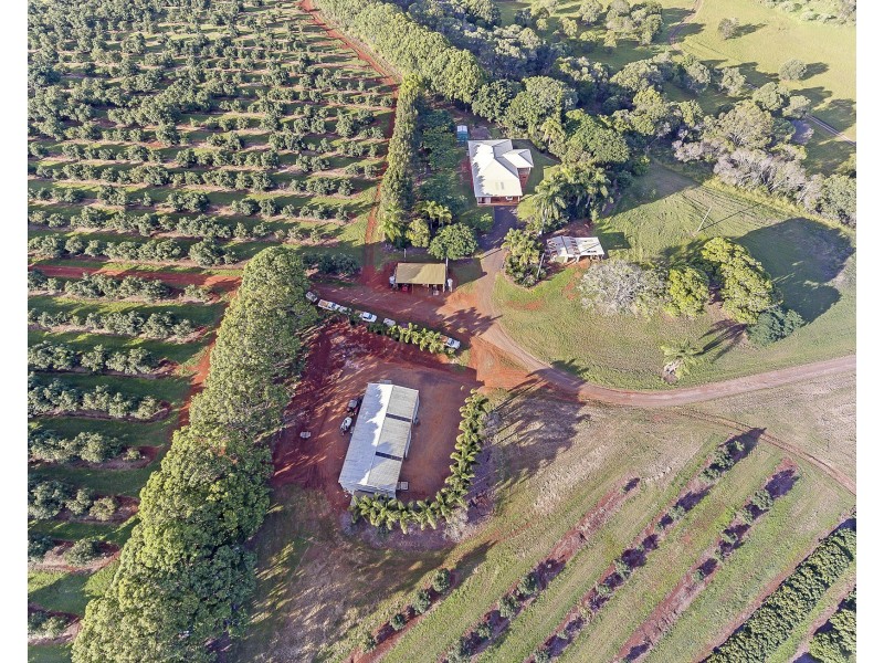 40 AVOCADO DRIVE & 236 BUTCHERS ROAD, South Isis QLD 4660