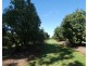 40 AVOCADO DRIVE & 236 BUTCHERS ROAD, South Isis QLD 4660