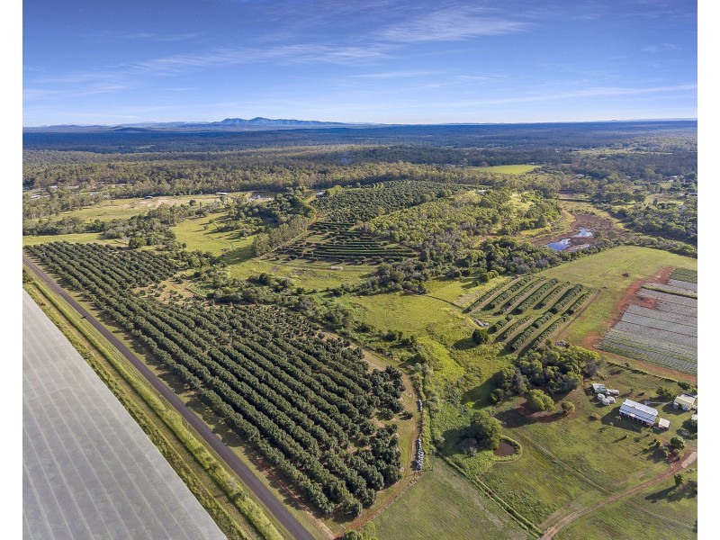 40 AVOCADO DRIVE & 236 BUTCHERS ROAD, South Isis QLD 4660