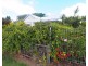 Childers QLD 4660