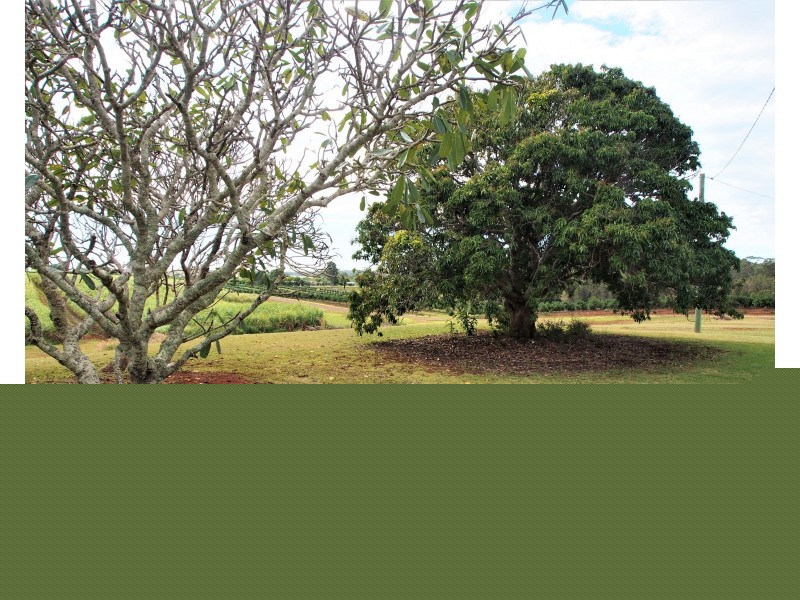 48 SMITHFIELD ROAD, South Isis QLD 4660