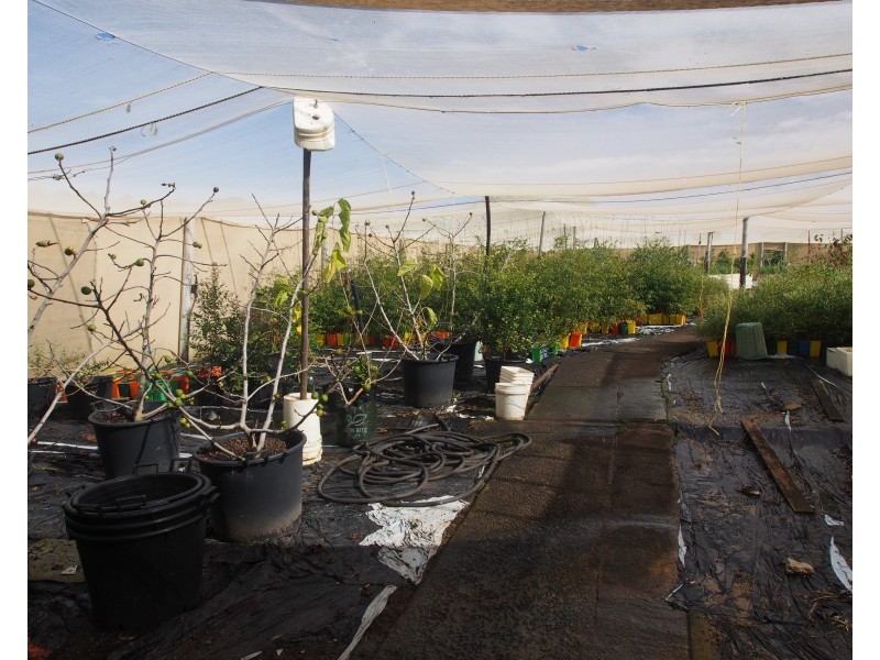 113 ATC HALL ROAD, North Isis QLD 4660