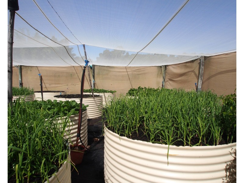 113 ATC HALL ROAD, North Isis QLD 4660