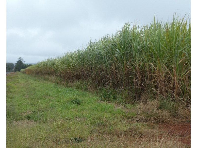 Isis Central QLD 4660