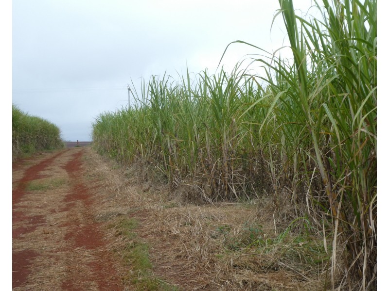 Isis Central QLD 4660
