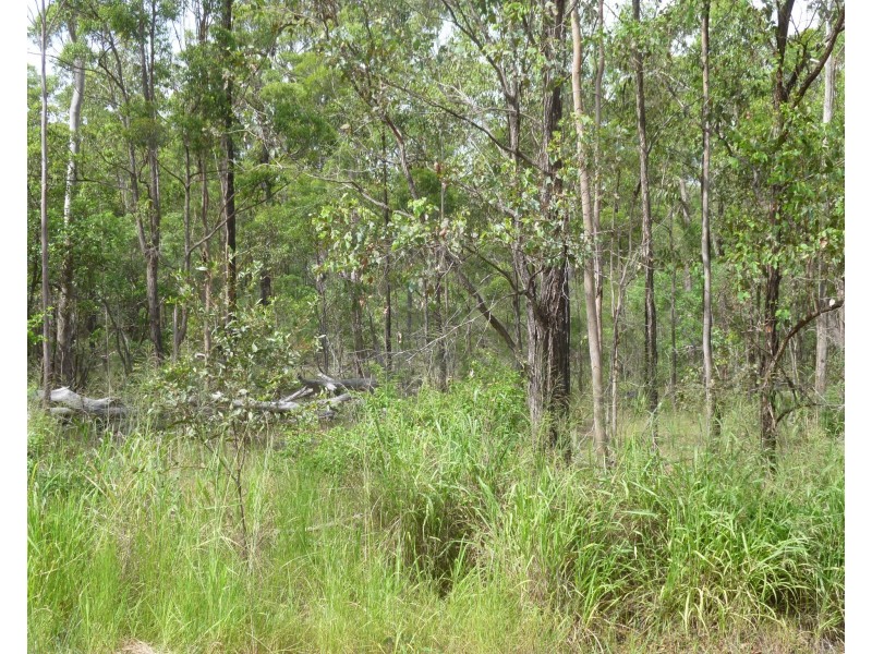 750 KNOCKROE ROAD, North Isis QLD 4660