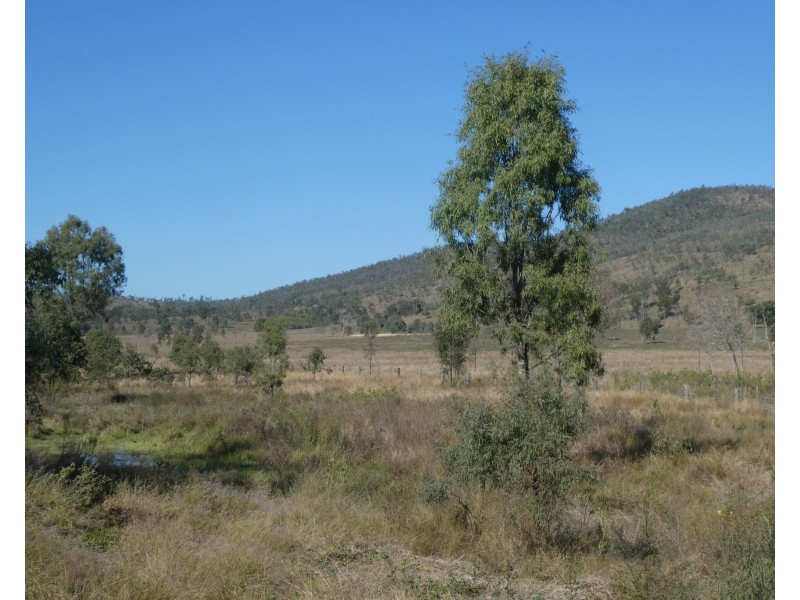 3759 Gayndah Mount Perry Road, Mingo QLD 4625