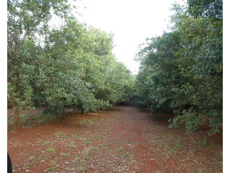Doolbi QLD 4660