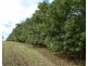 Doolbi QLD 4660