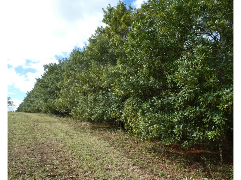 Doolbi QLD 4660