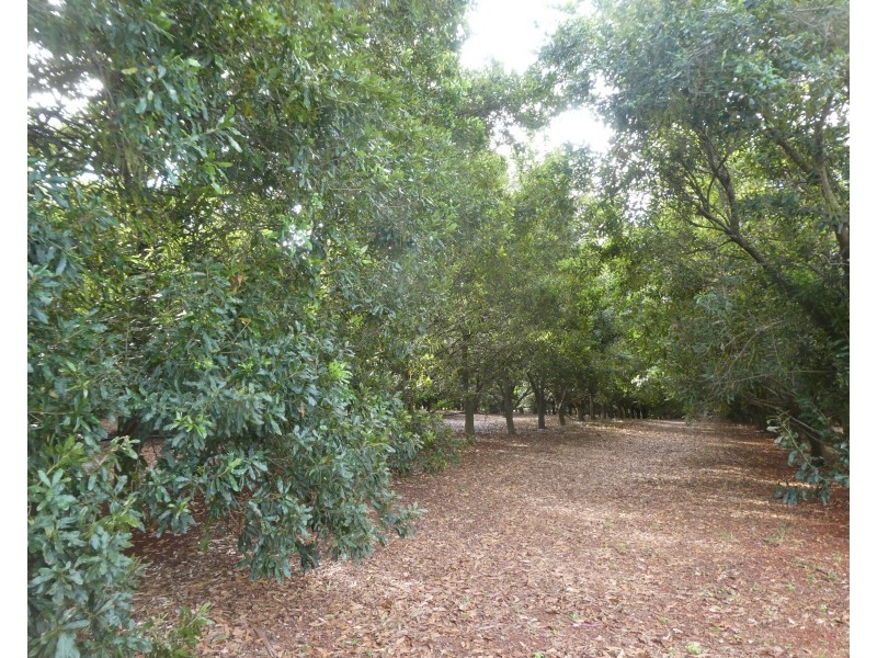 Doolbi QLD 4660