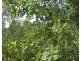 Doolbi QLD 4660