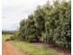 North Isis QLD 4660