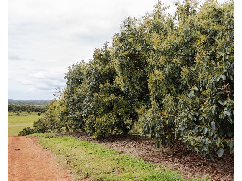 North Isis QLD 4660