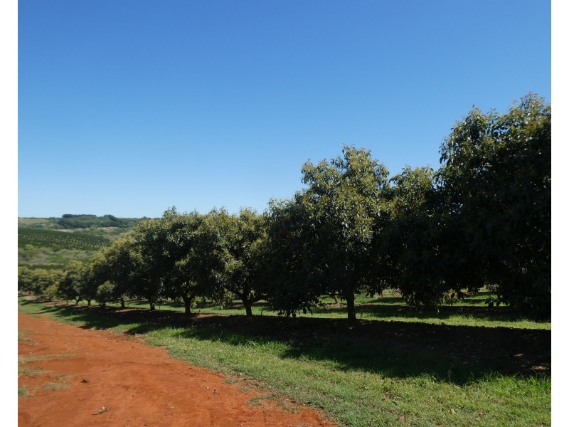 North Isis QLD 4660