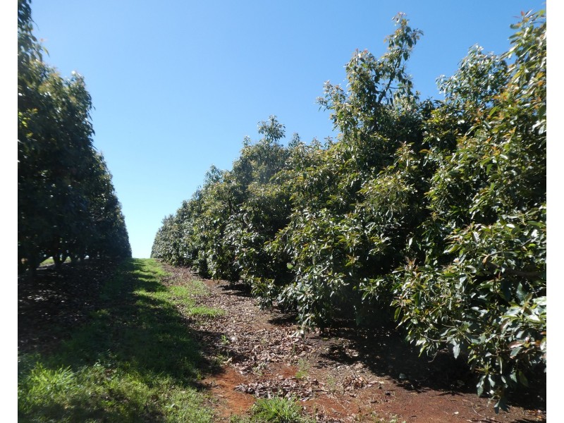 North Isis QLD 4660
