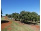 North Isis QLD 4660