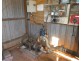 North Isis QLD 4660