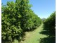 Isis River QLD 4660