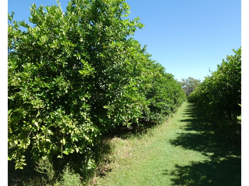 Isis River QLD 4660