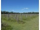 Isis River QLD 4660