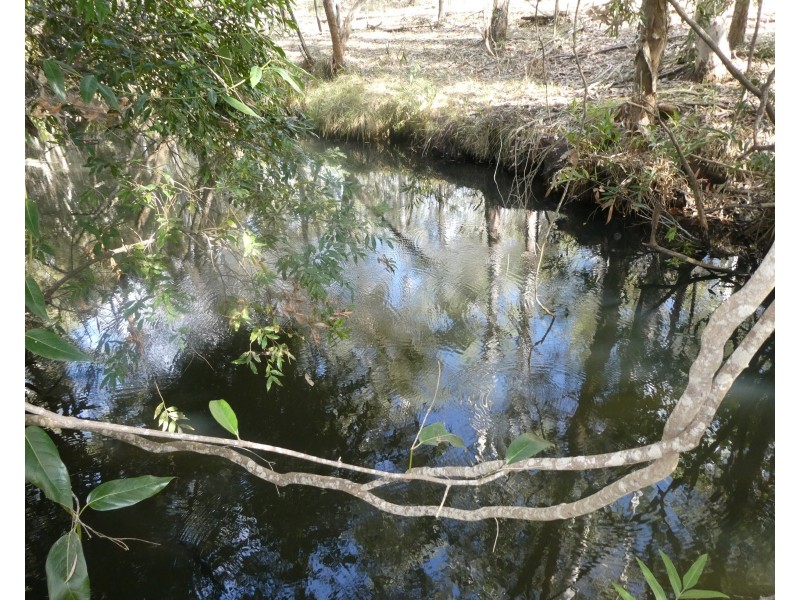 125 Smithfield Road, South Isis QLD 4660