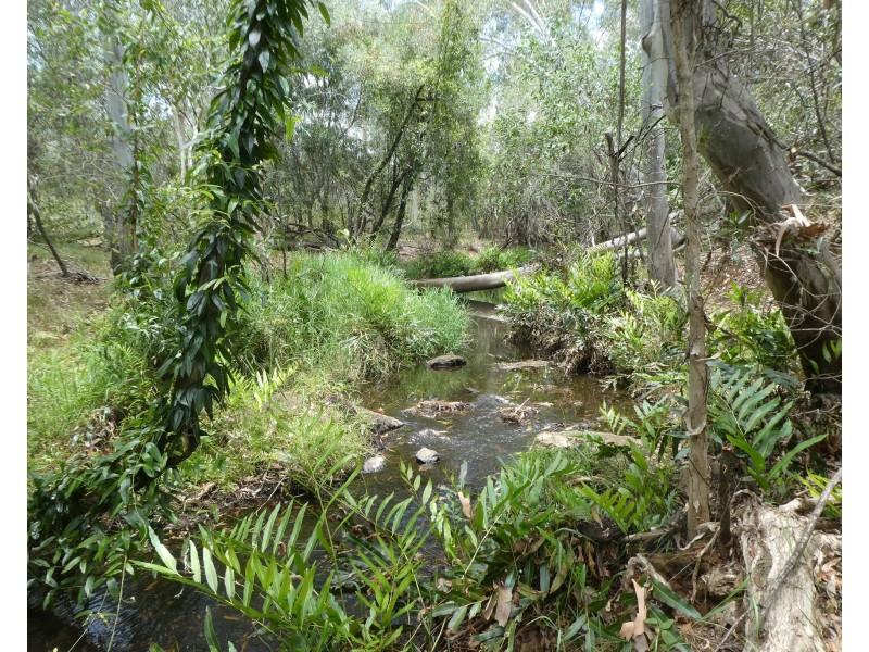 125 Smithfield Road, South Isis QLD 4660