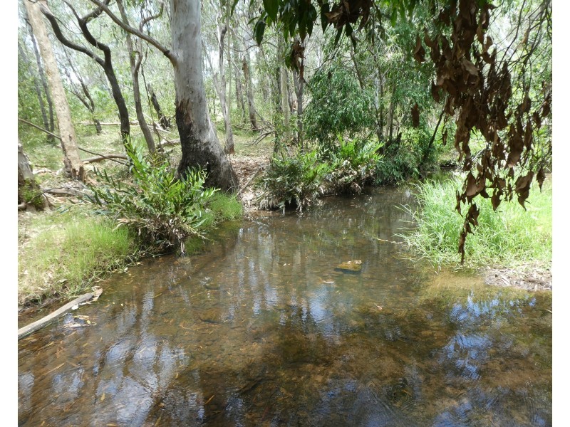 125 Smithfield Road, South Isis QLD 4660