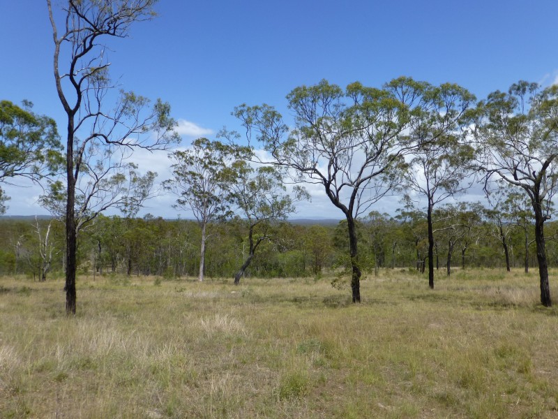553 BERRIES ROAD, Kullogum QLD 4660