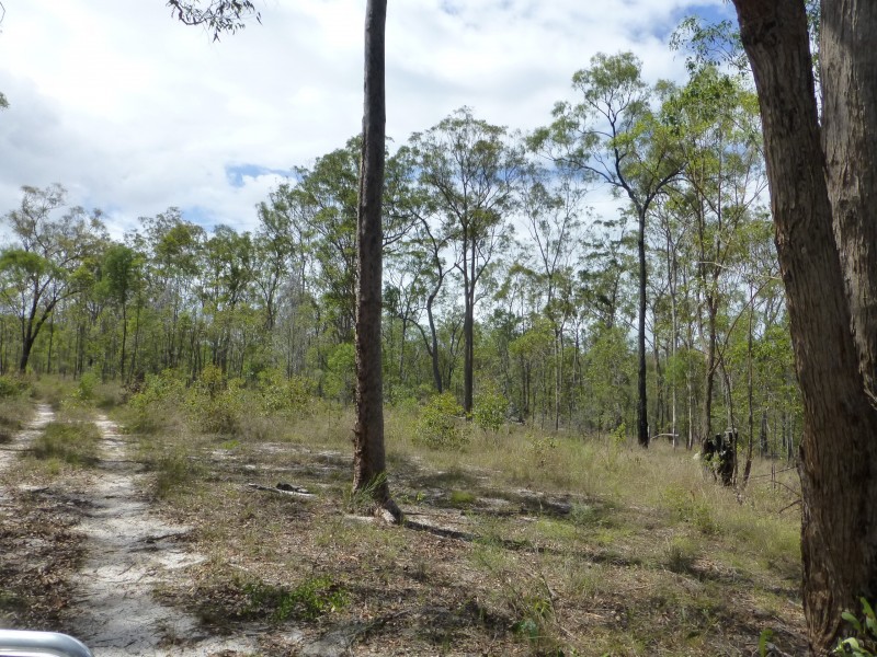 553 BERRIES ROAD, Kullogum QLD 4660