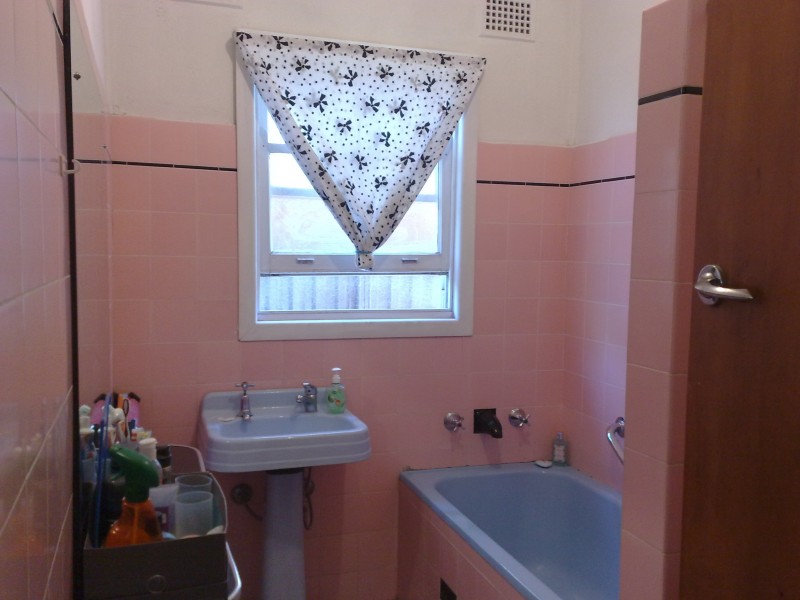 19 Wingara Street, Chester Hill NSW 2162