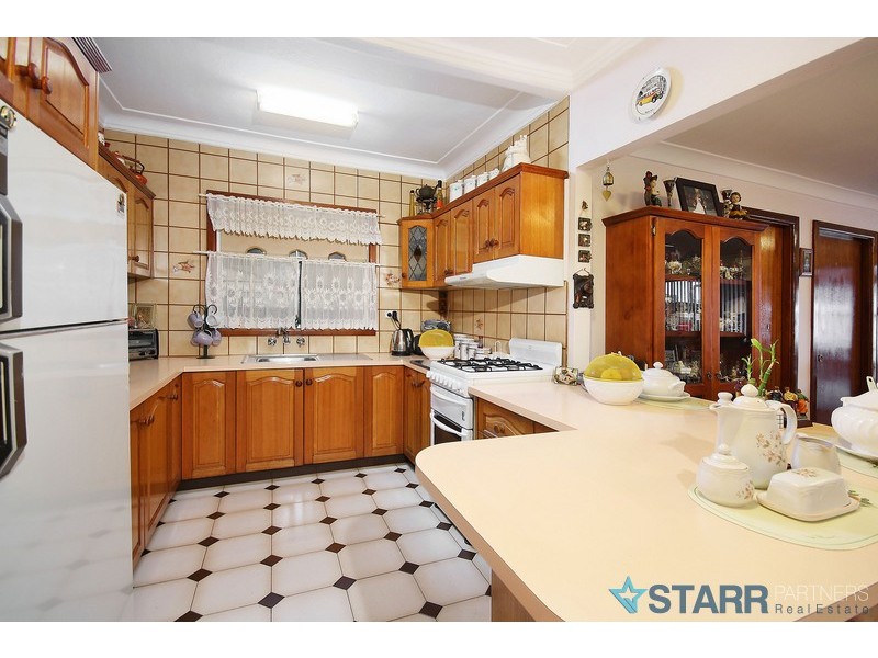 195 Chisholm Rd, Auburn NSW 2144