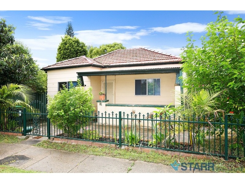 81 Dudley Street, Berala NSW 2141
