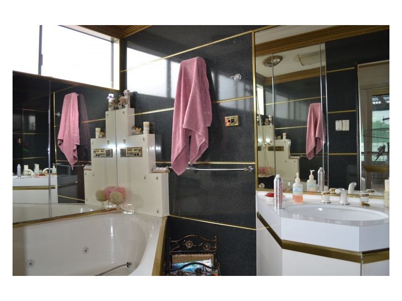 217 Juno Parade, Greenacre NSW 2190