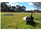 128 Bull Ridge Road, East Kurrajong NSW 2758