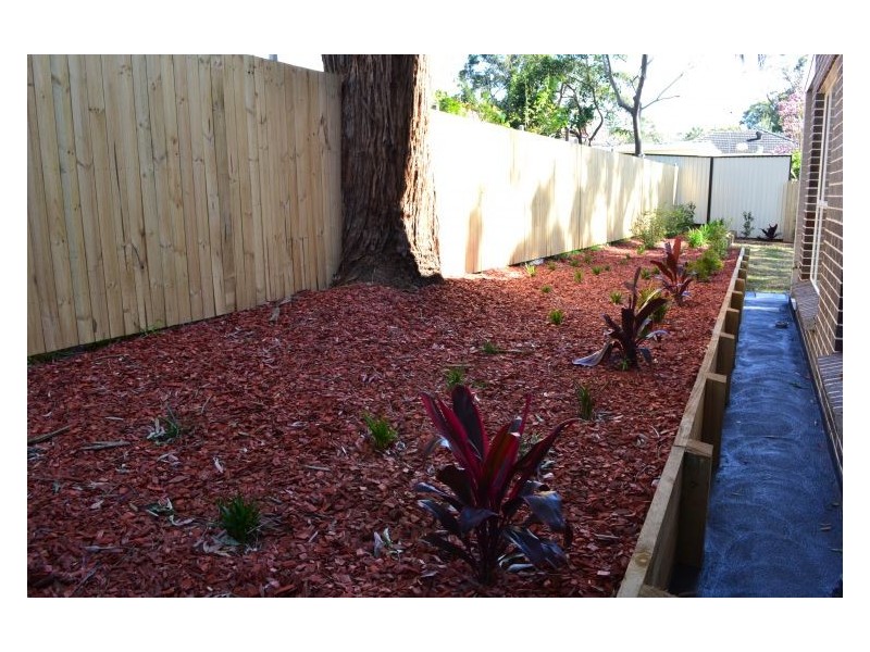 53 Evans Rd, Telopea NSW 2117