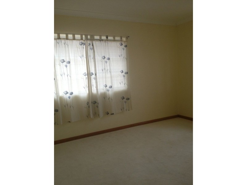 16 Ireland St, Burwood NSW 2134