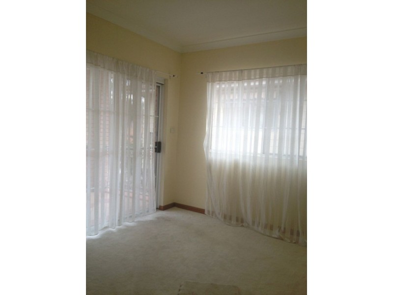 16 Ireland St, Burwood NSW 2134