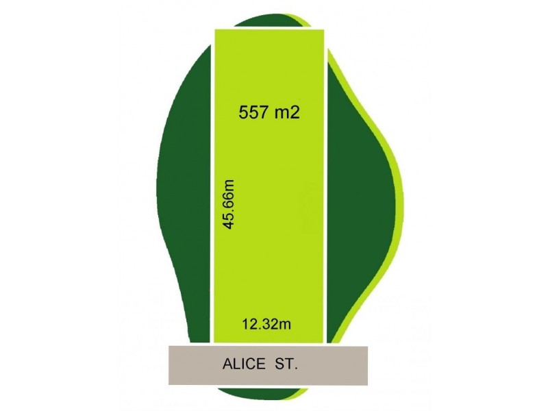 53 Alice St, Auburn NSW 2144