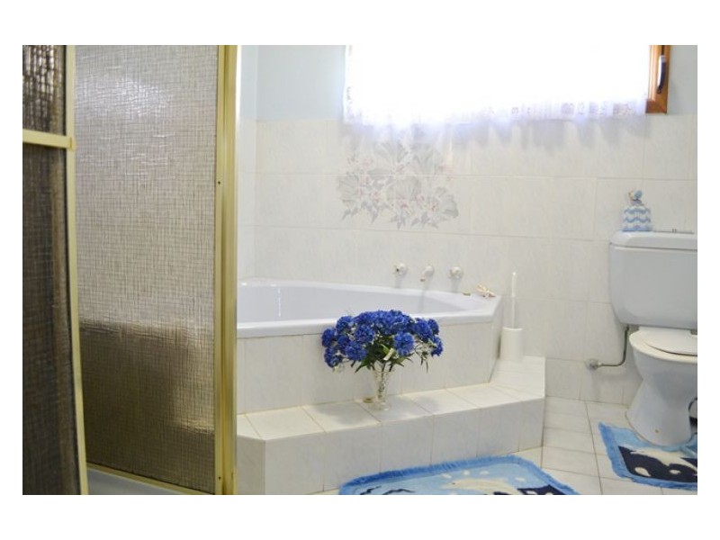 53 Alice St, Auburn NSW 2144