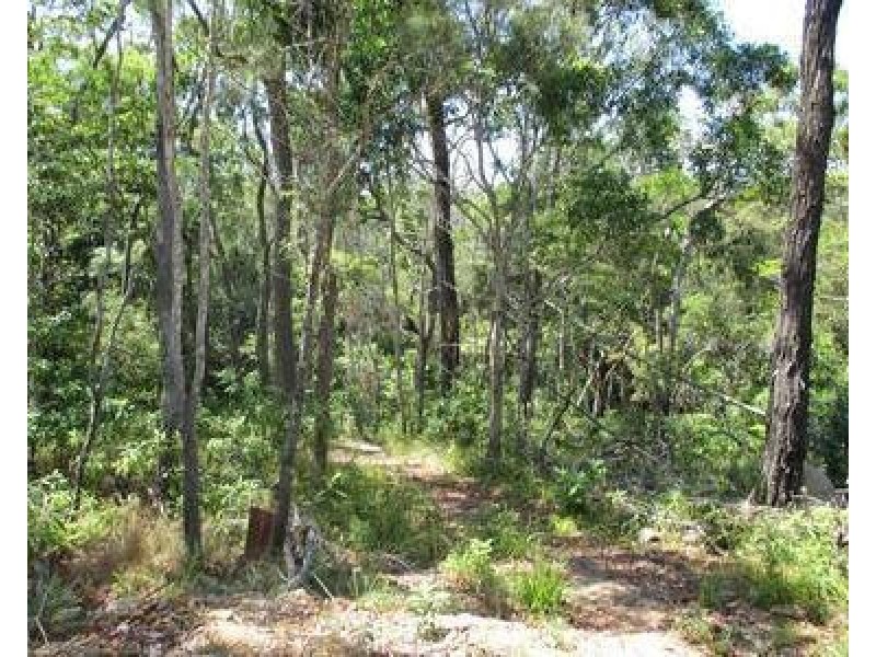 Koah QLD 4881