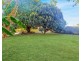Doyle Street, Mareeba QLD 4880