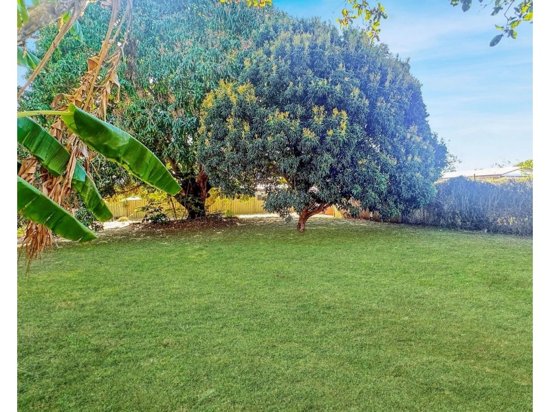 Doyle Street, Mareeba QLD 4880