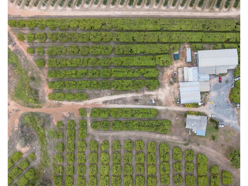 1151 Leafgold Weir Road, Dimbulah QLD 4872