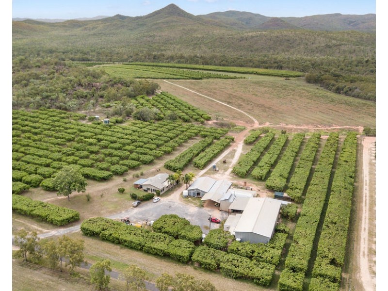 1151 Leafgold Weir Road, Dimbulah QLD 4872