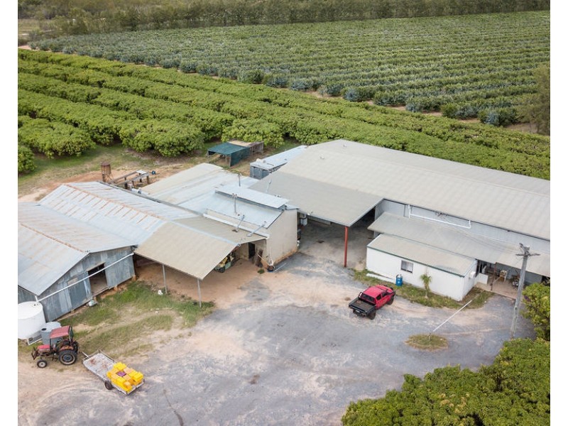 1151 Leafgold Weir Road, Dimbulah QLD 4872