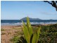 29 /29 Reef Street, Wongaling Beach QLD 4852