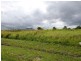 88/Lot 88 Midgenoo-Feluga Road, Midgenoo QLD 4854